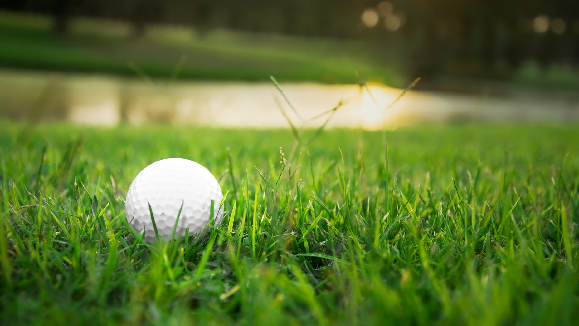 What is Bermuda grass, and what's the best way to play from it?