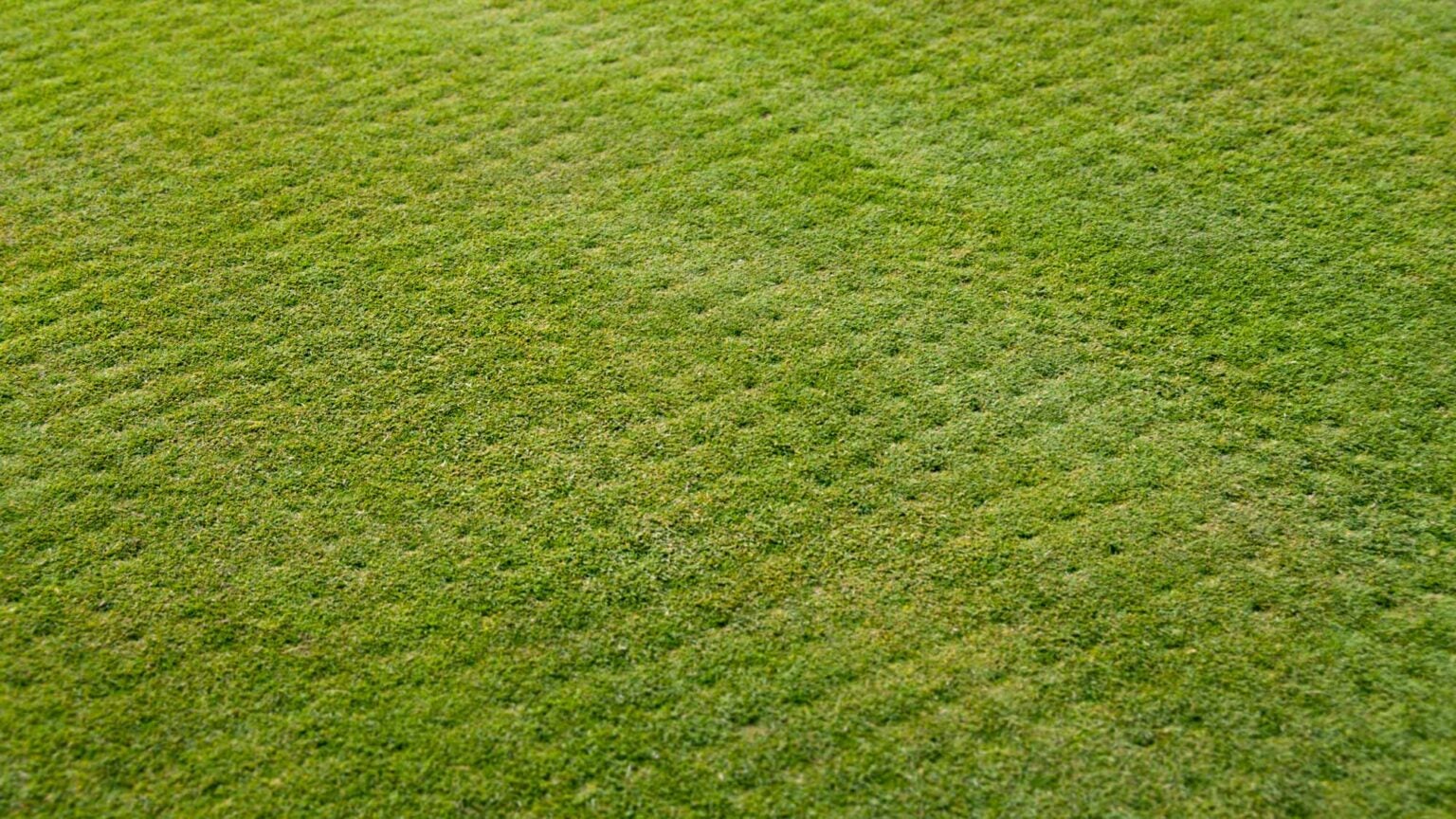 Should you aerate your own lawn? A golf superintendent explains.
