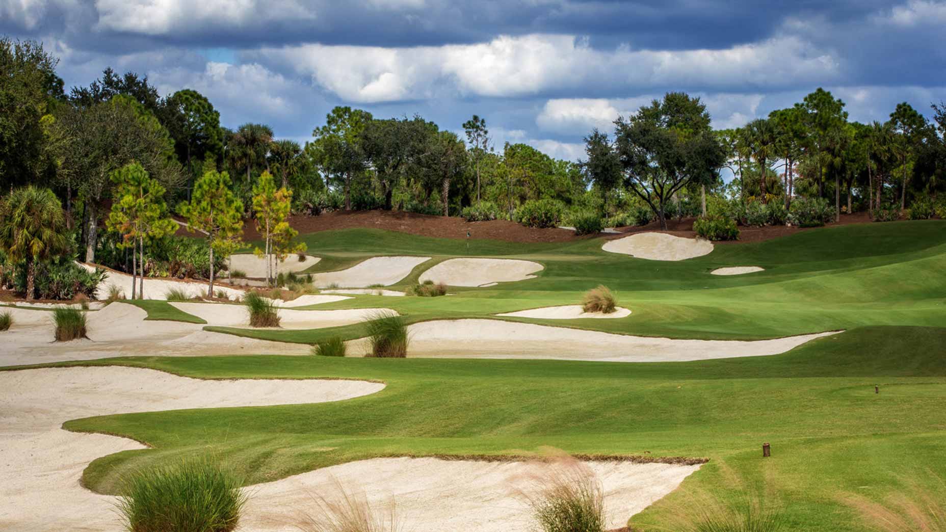 Calusa Pines, Naples, Florida Golf course information and reviews.