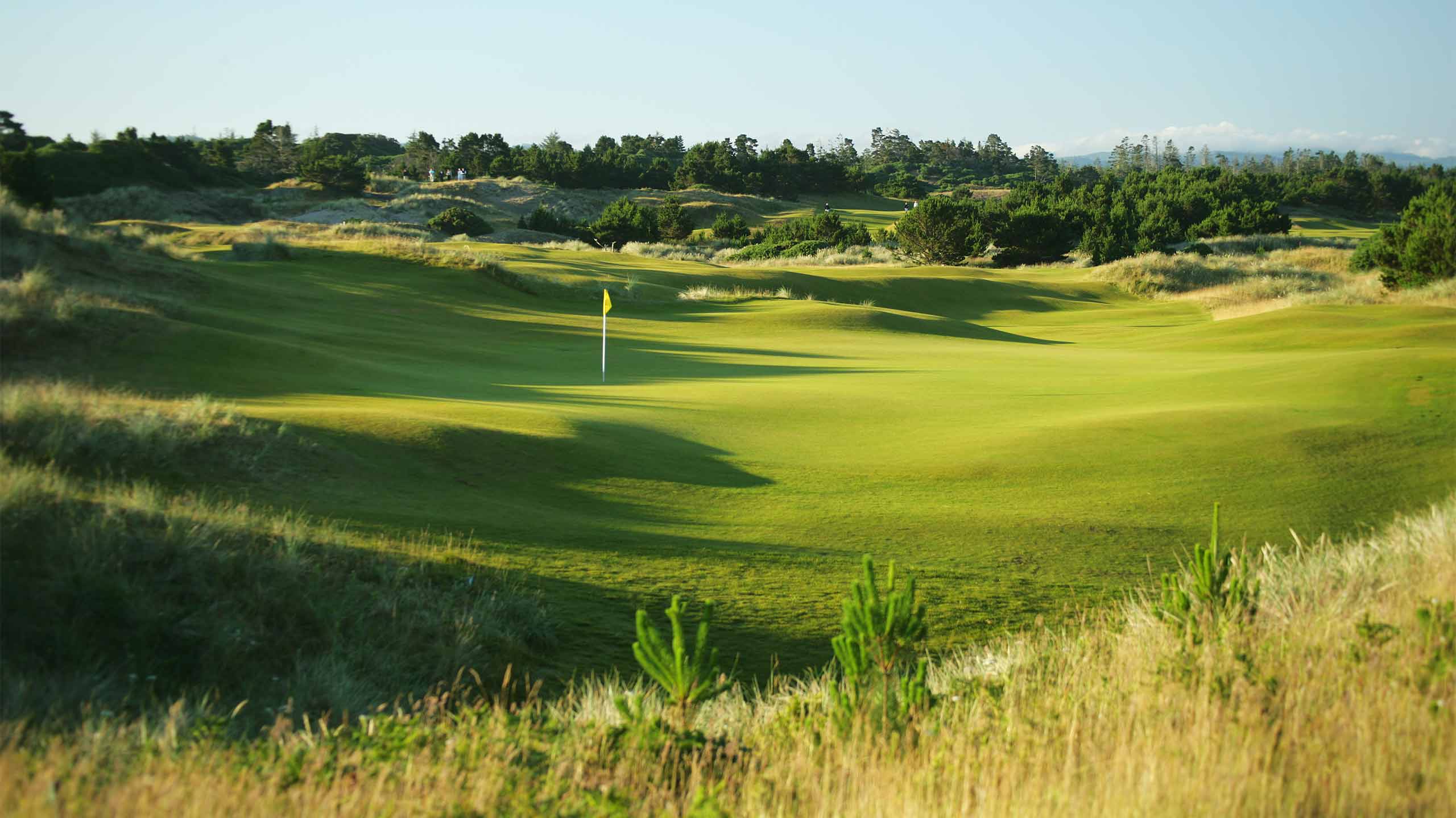 Pacific Dunes