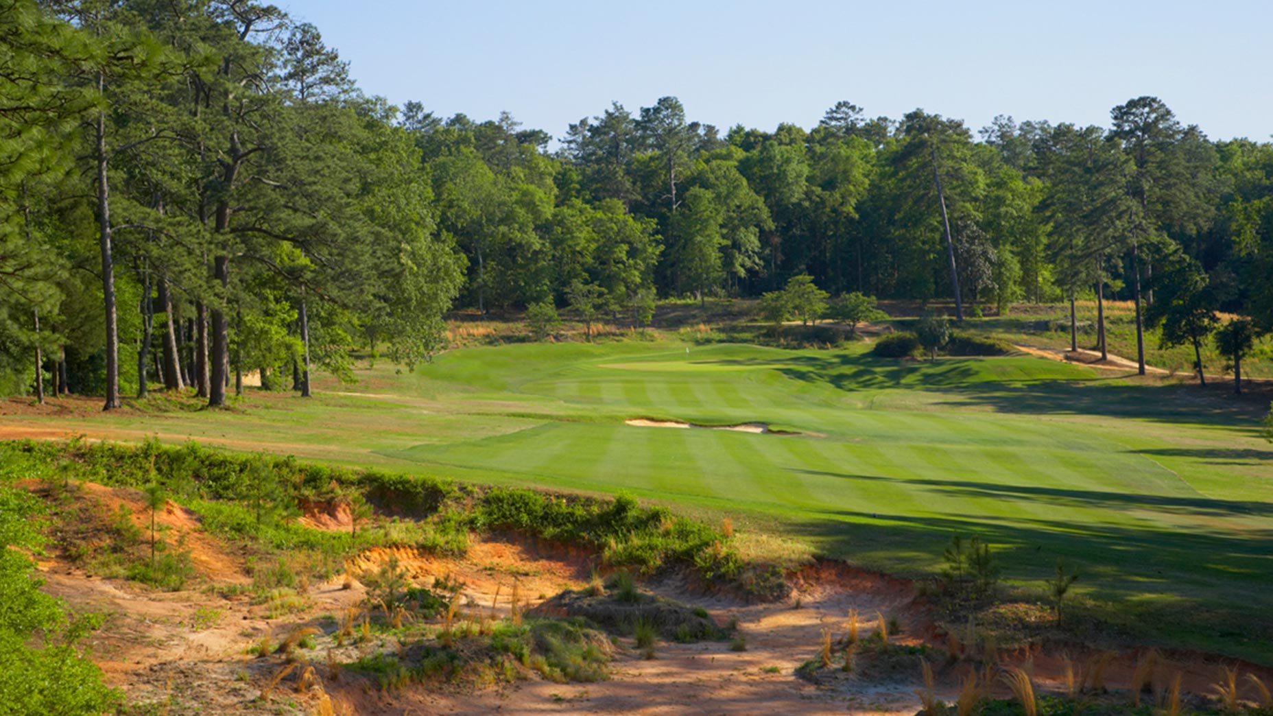 Palmetto GOLF Top 100 Course