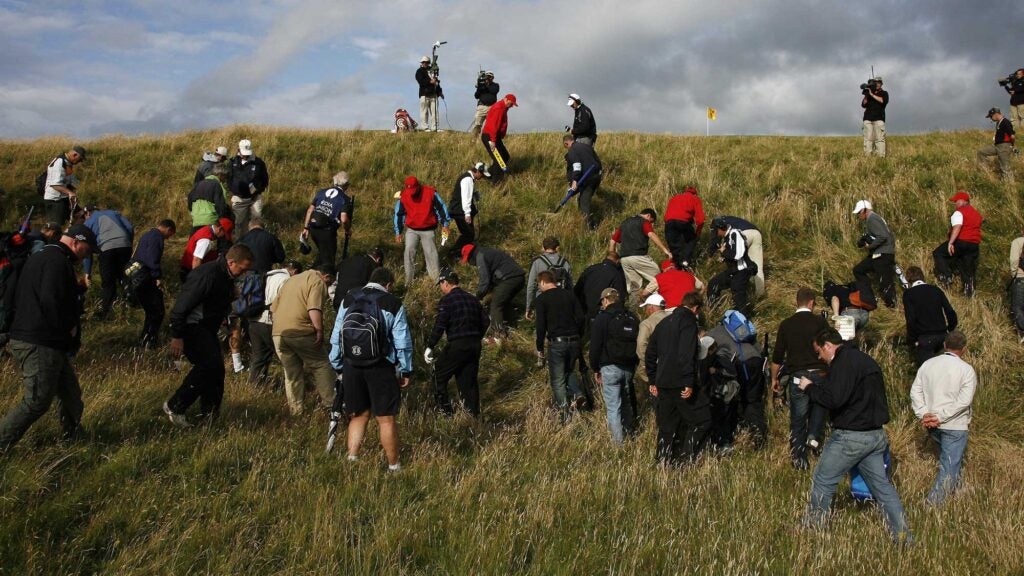 fans searching for lost ball