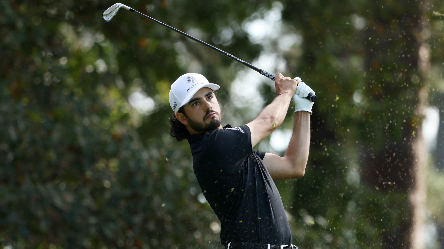 abraham ancer