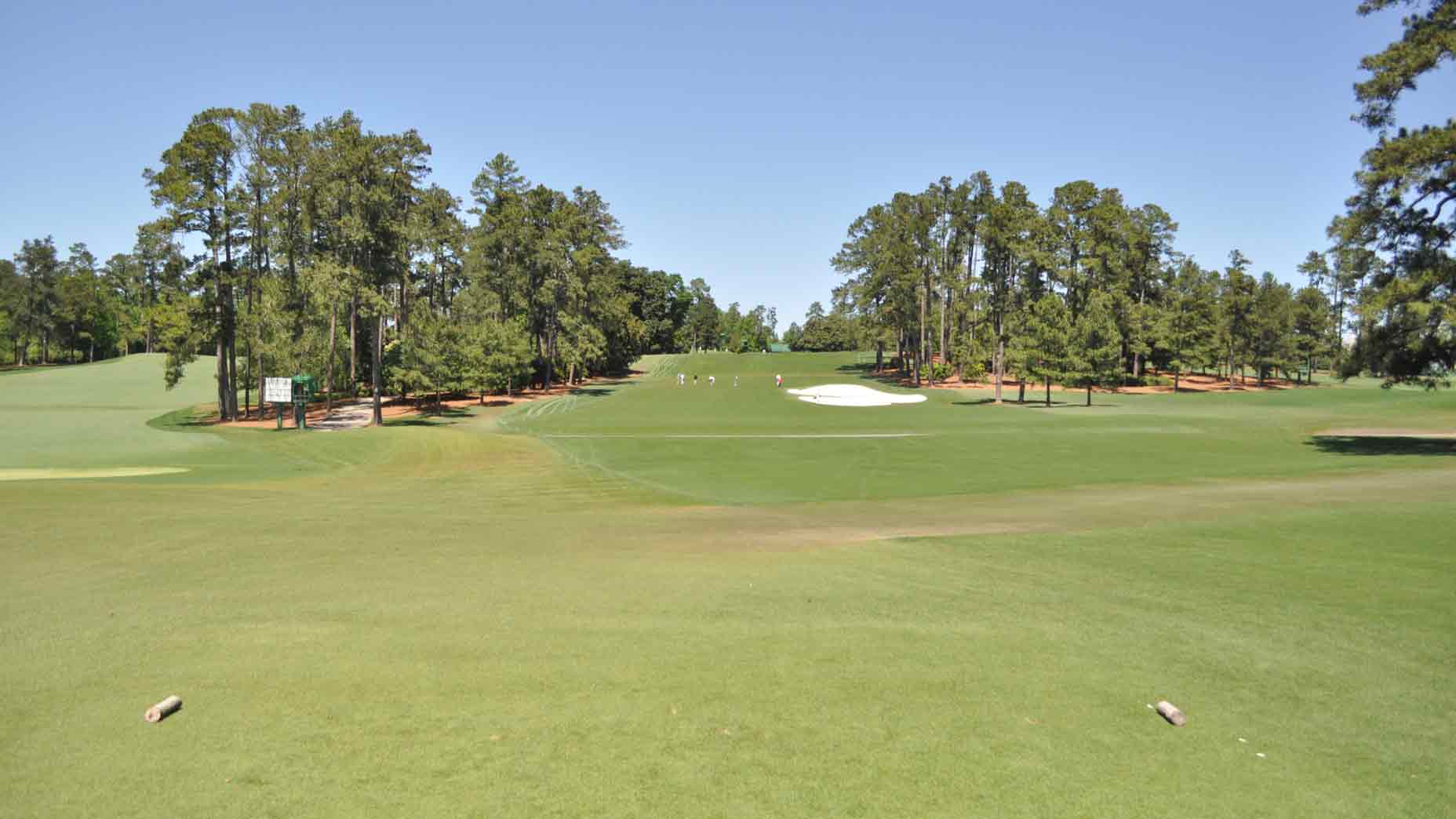 Augusta 8