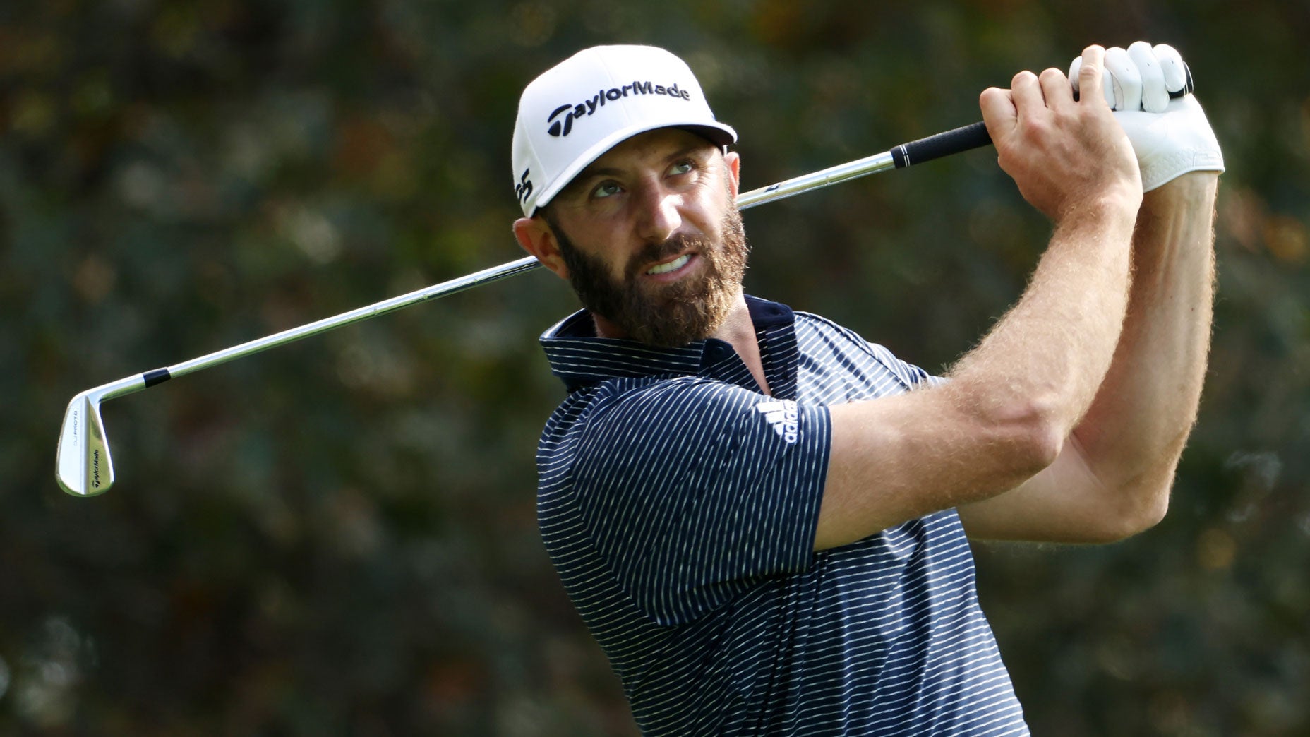The Dustin Johnson mentality, summed up in a food... - Golf.com | Solo Kol