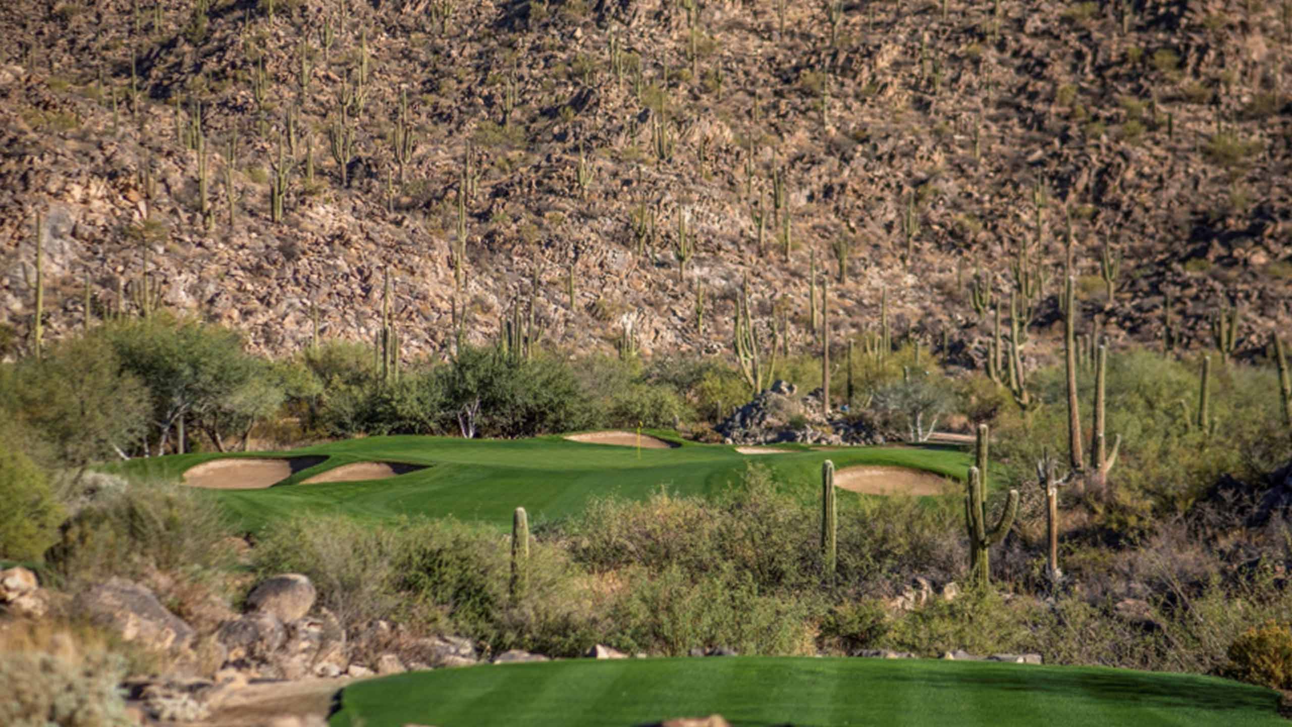 The 14th hole at The Stone Canyon Club.