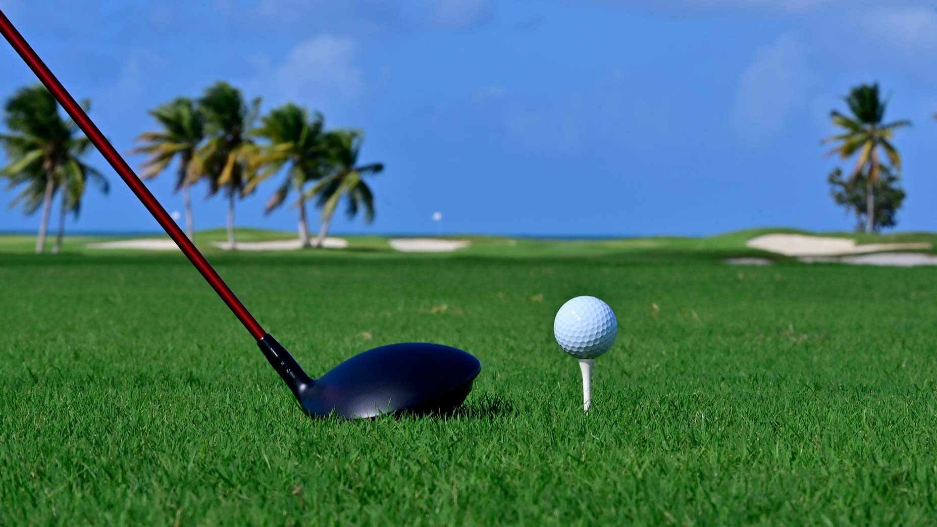 Are you teeing the ball up at the correct height? Here's how to find out