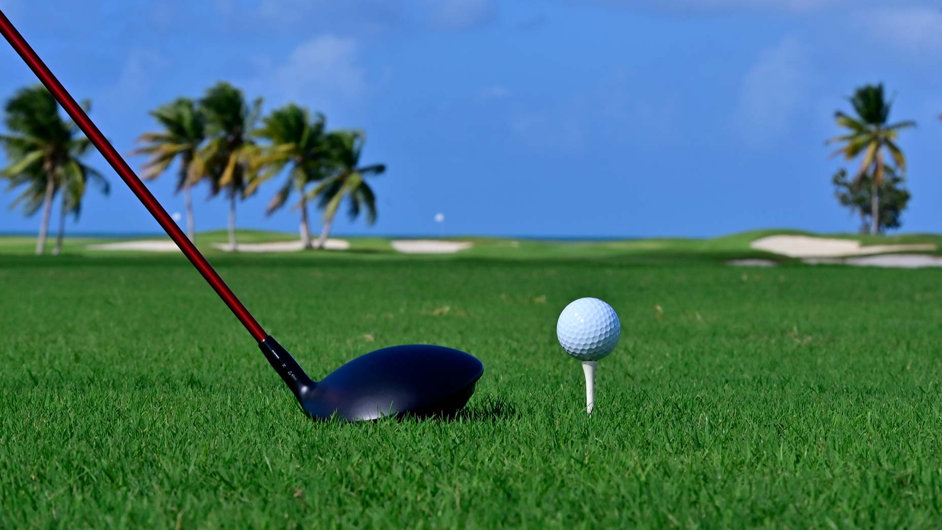 Golf 101: How high should I tee up the golf ball? – GolfWRX