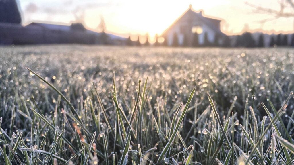 lawn covered with frost