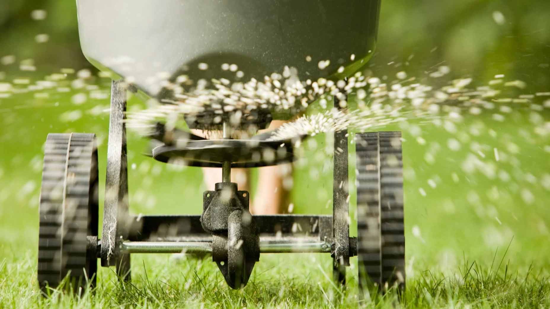 Lawn expert clearance