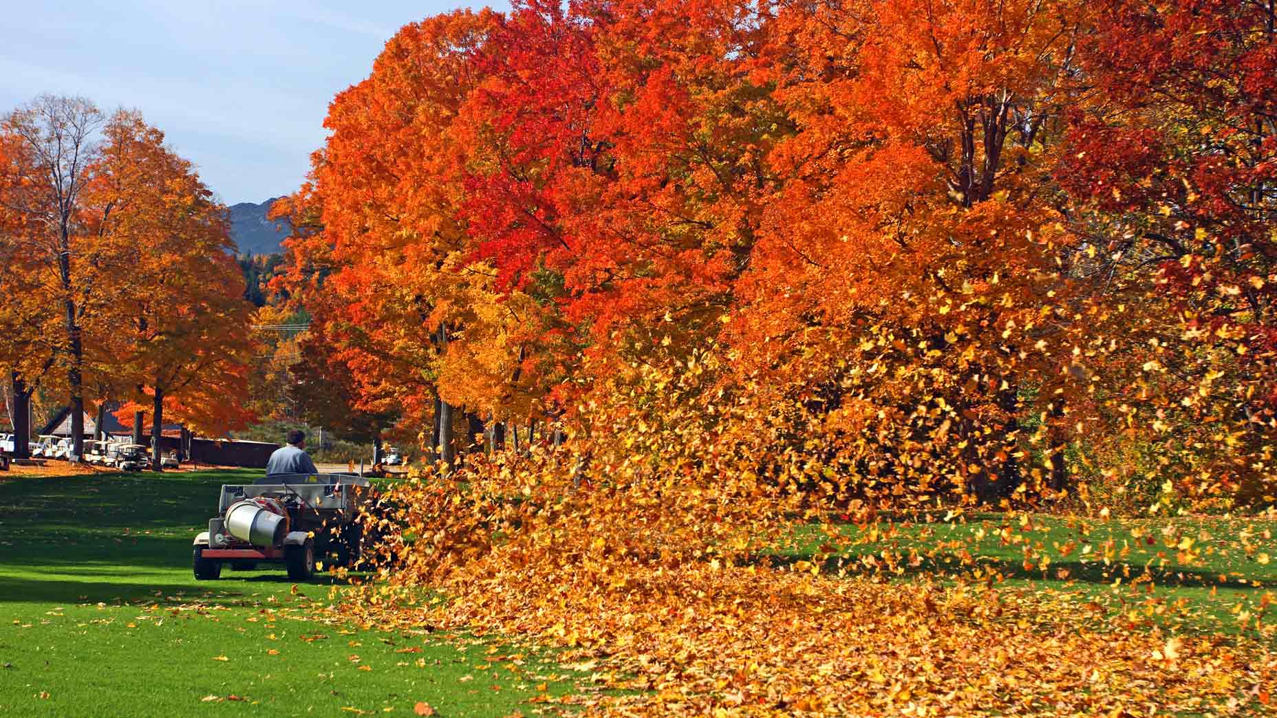 Rules school: The unfortunate truth (for you) about the 'Leaf Rule'