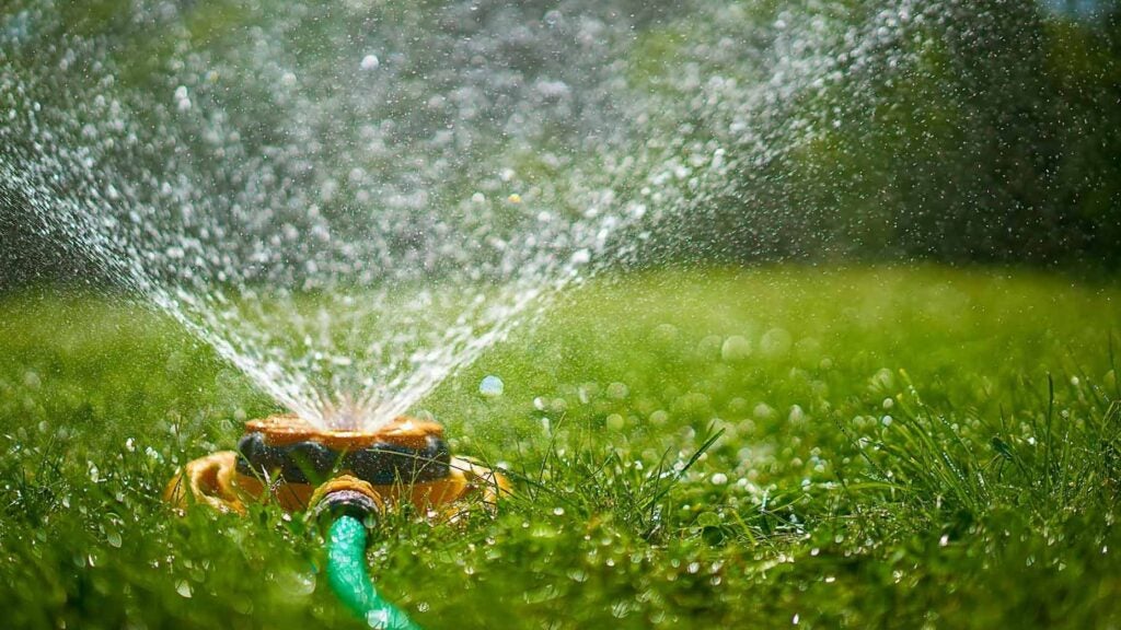 Sprinkler on a lawn.