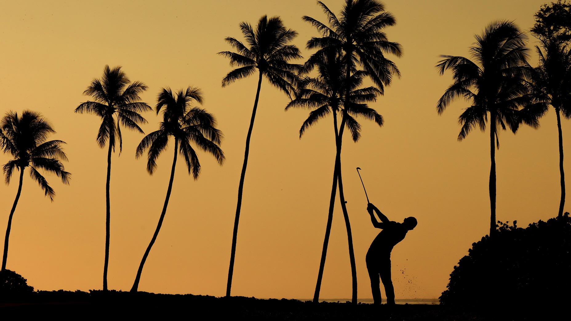 sony open made cuts