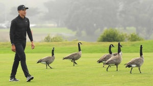 cameron champ and geese at 2020 PGA Championship