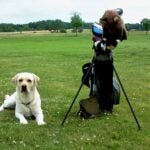Golf with dog