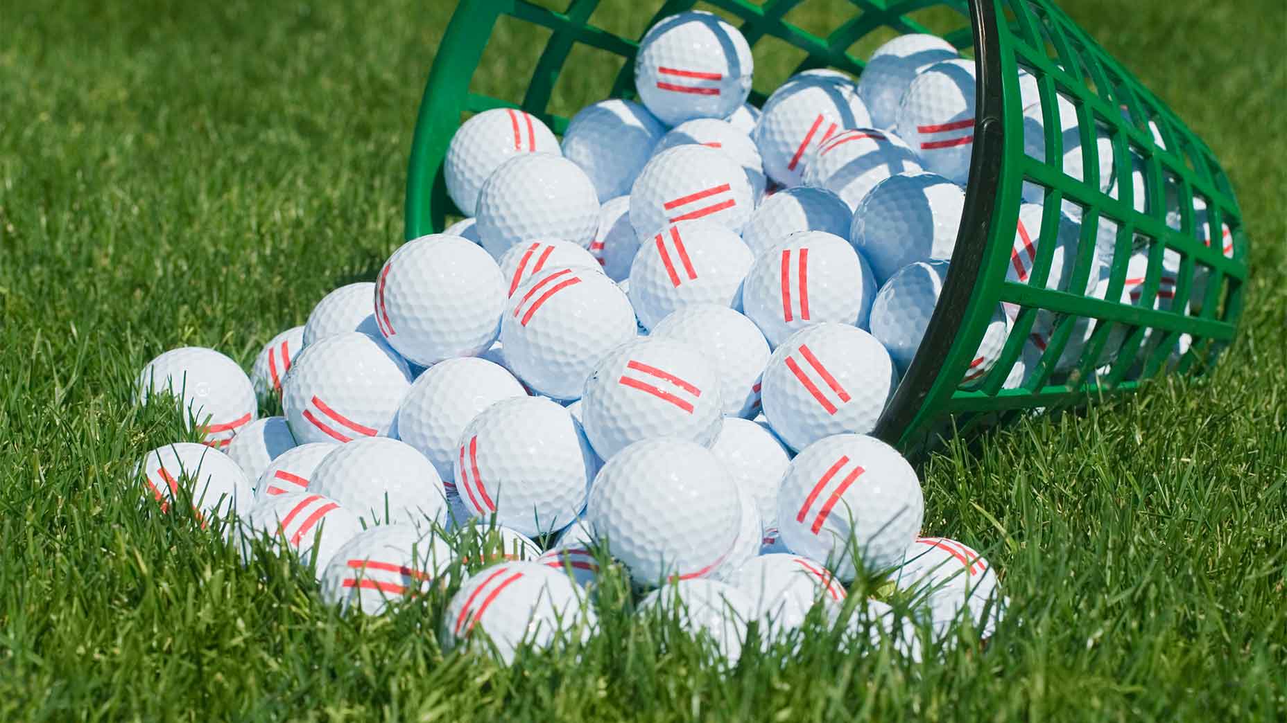 golf balls on the range