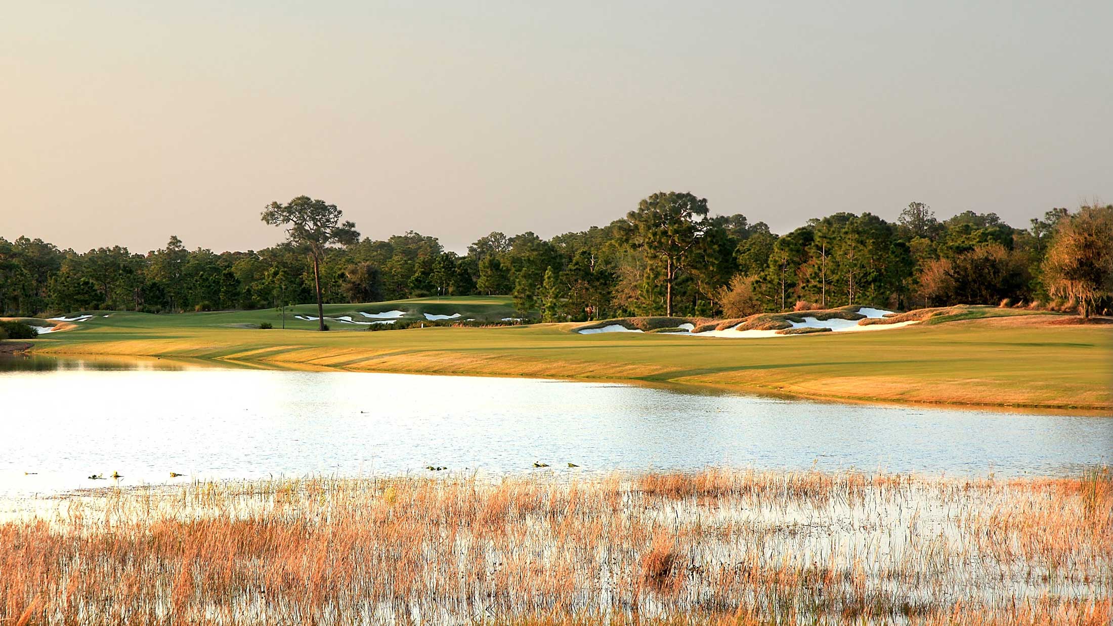 concession 13th hole