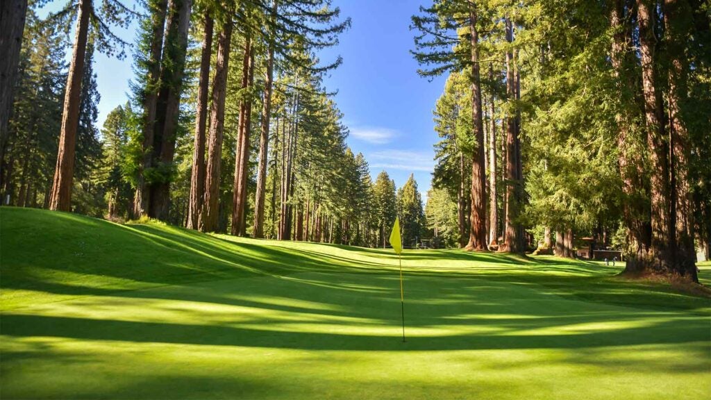 A green at Northwood Golf Club in California.
