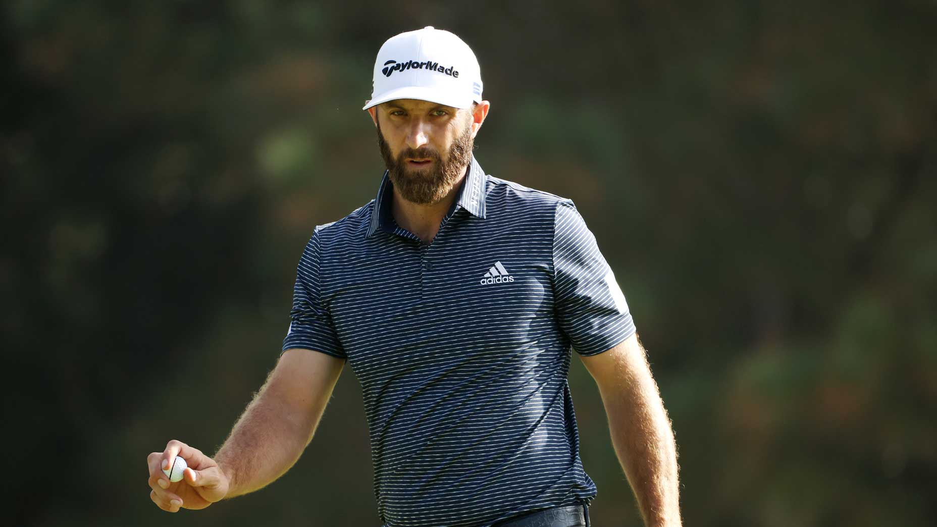 dustin johnson