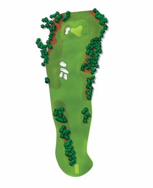 The 3rd hole at Augusta.