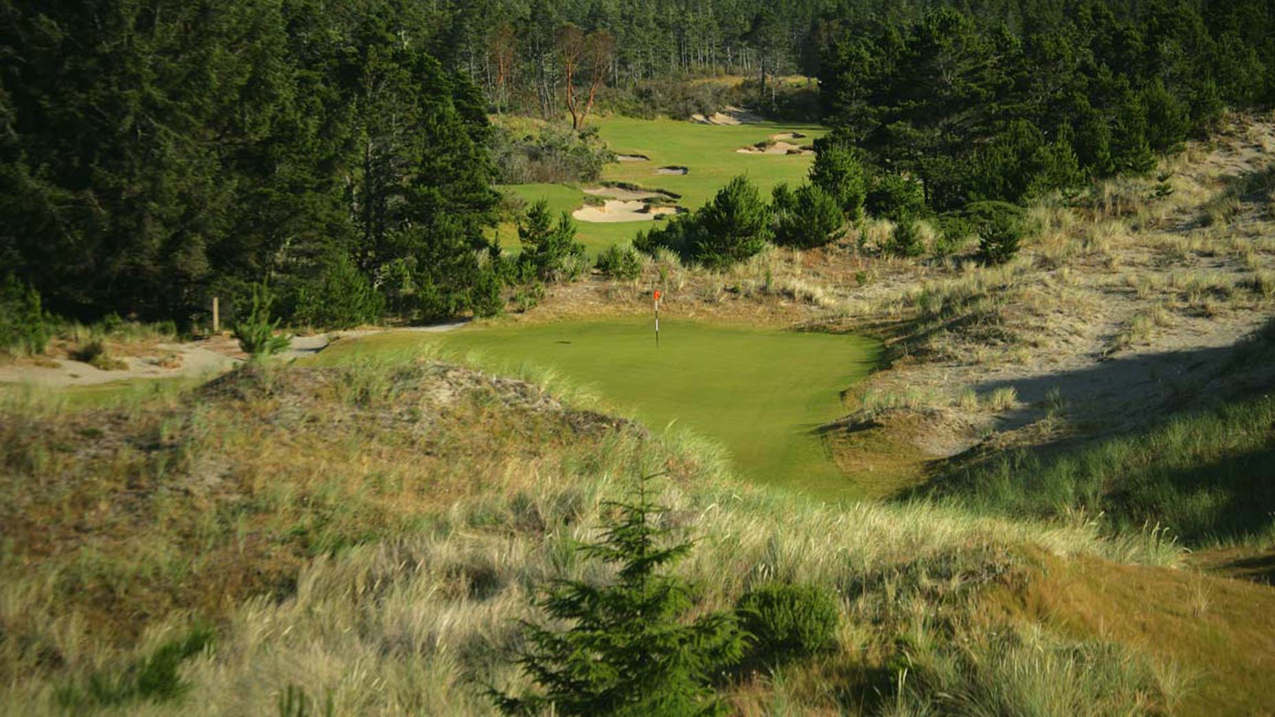 bandon trails