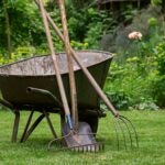 wheelbarrow with lawn tools