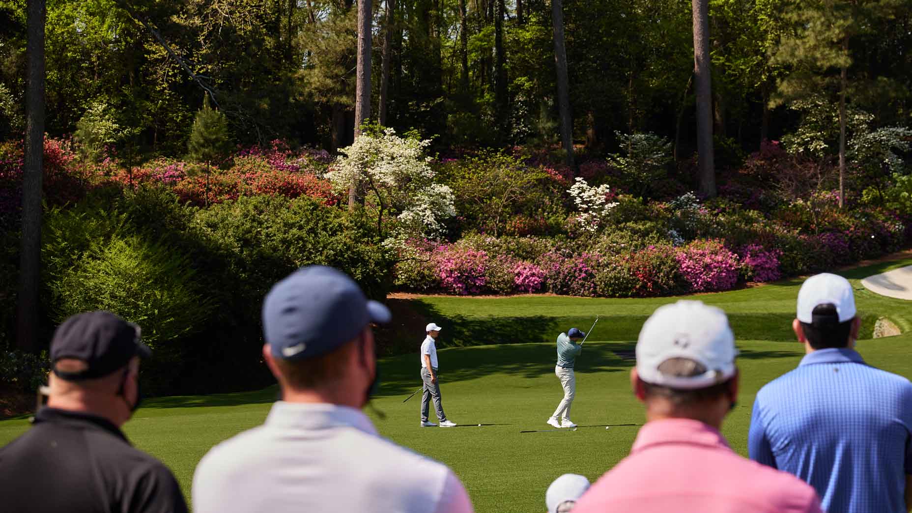 Want Masters tickets? Here's how to apply for tickets for the 2023 Masters