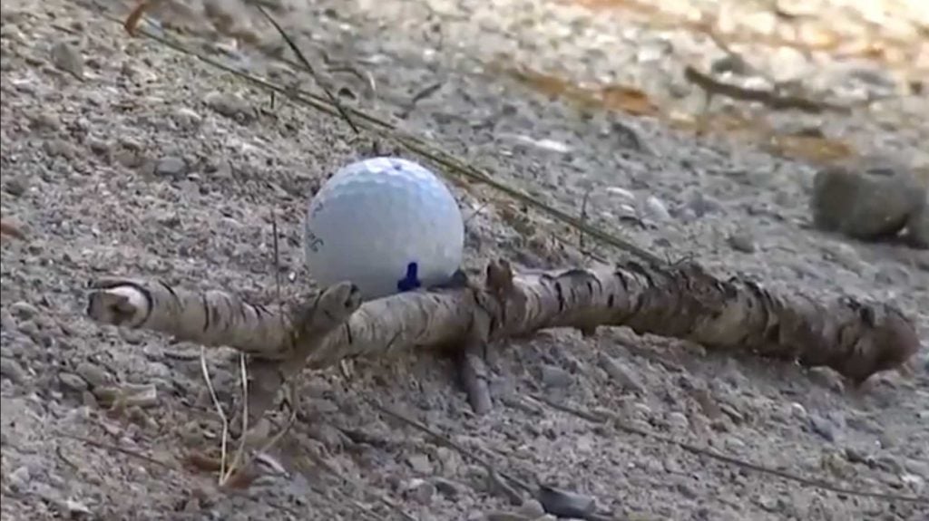 Stewart Cink golf ball