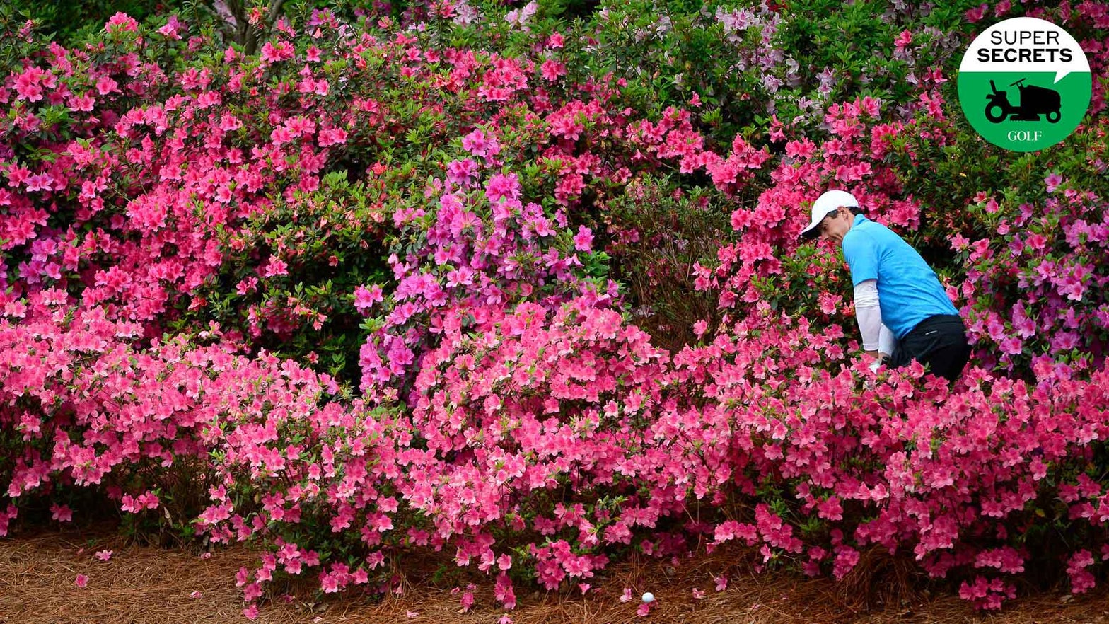 The secret to growing Augusta National-grade azaleas