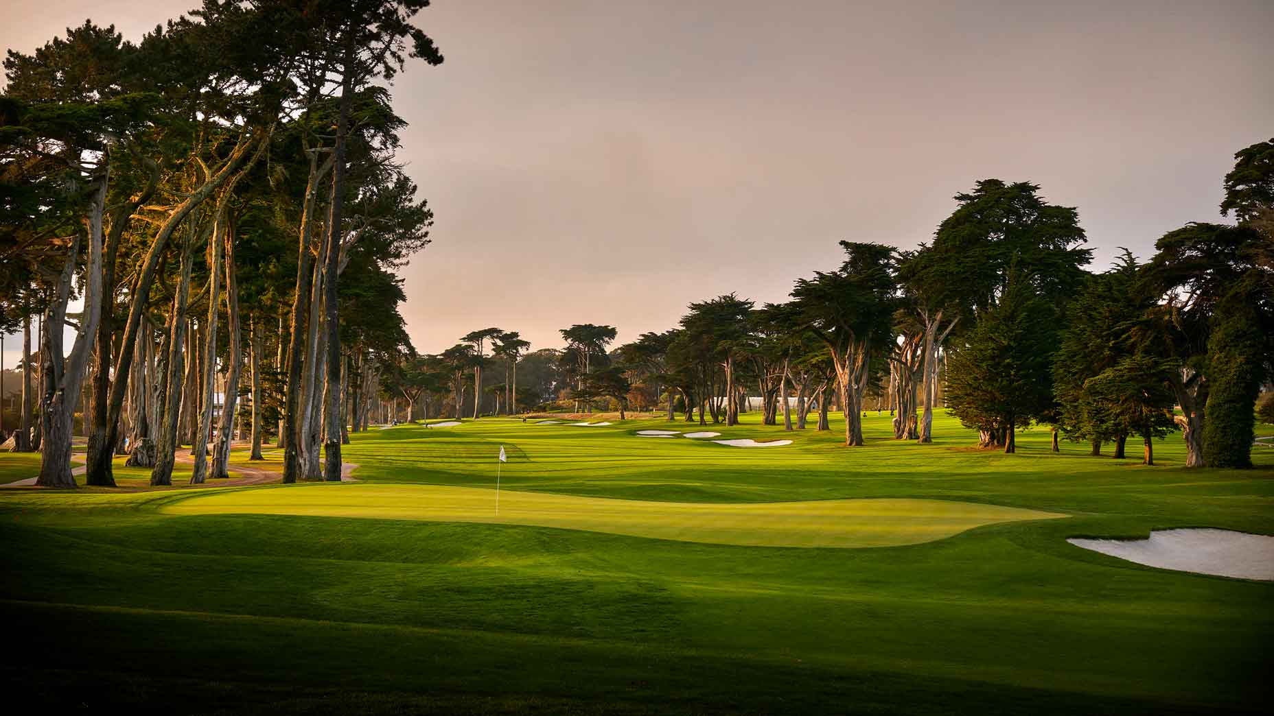 The best public course we played in 2021 A day at TPC Harding Park