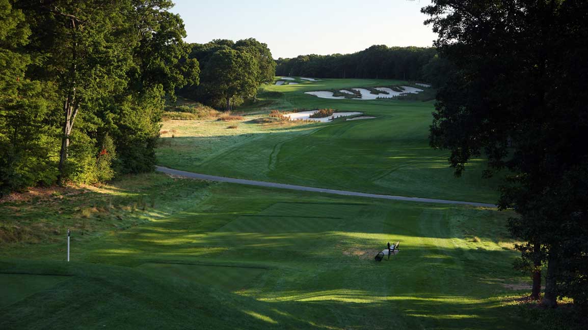 bethpage 4