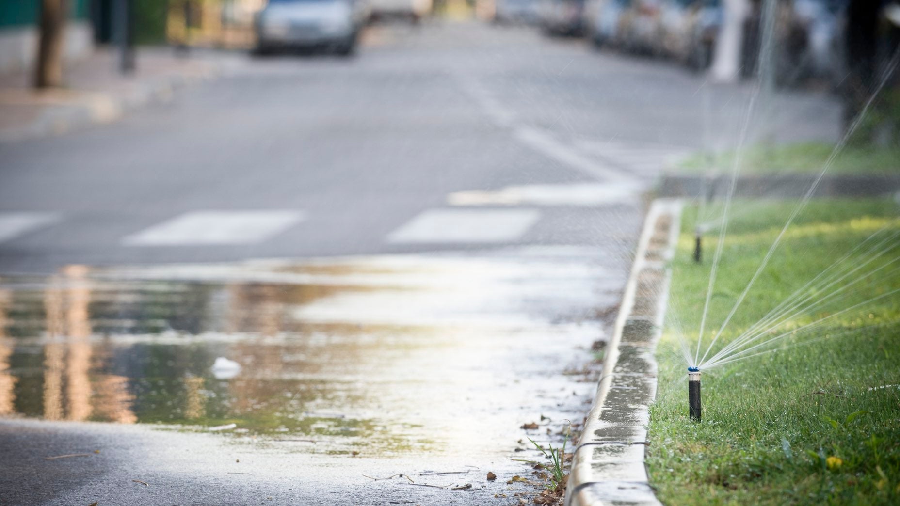 SprinklerRoad