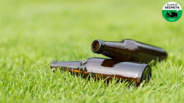 beer bottles on grass
