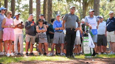Phil Mickelson stands in pine straw surround by gallery