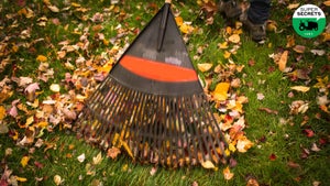 photo of a rake gathering leaves on a lawn
