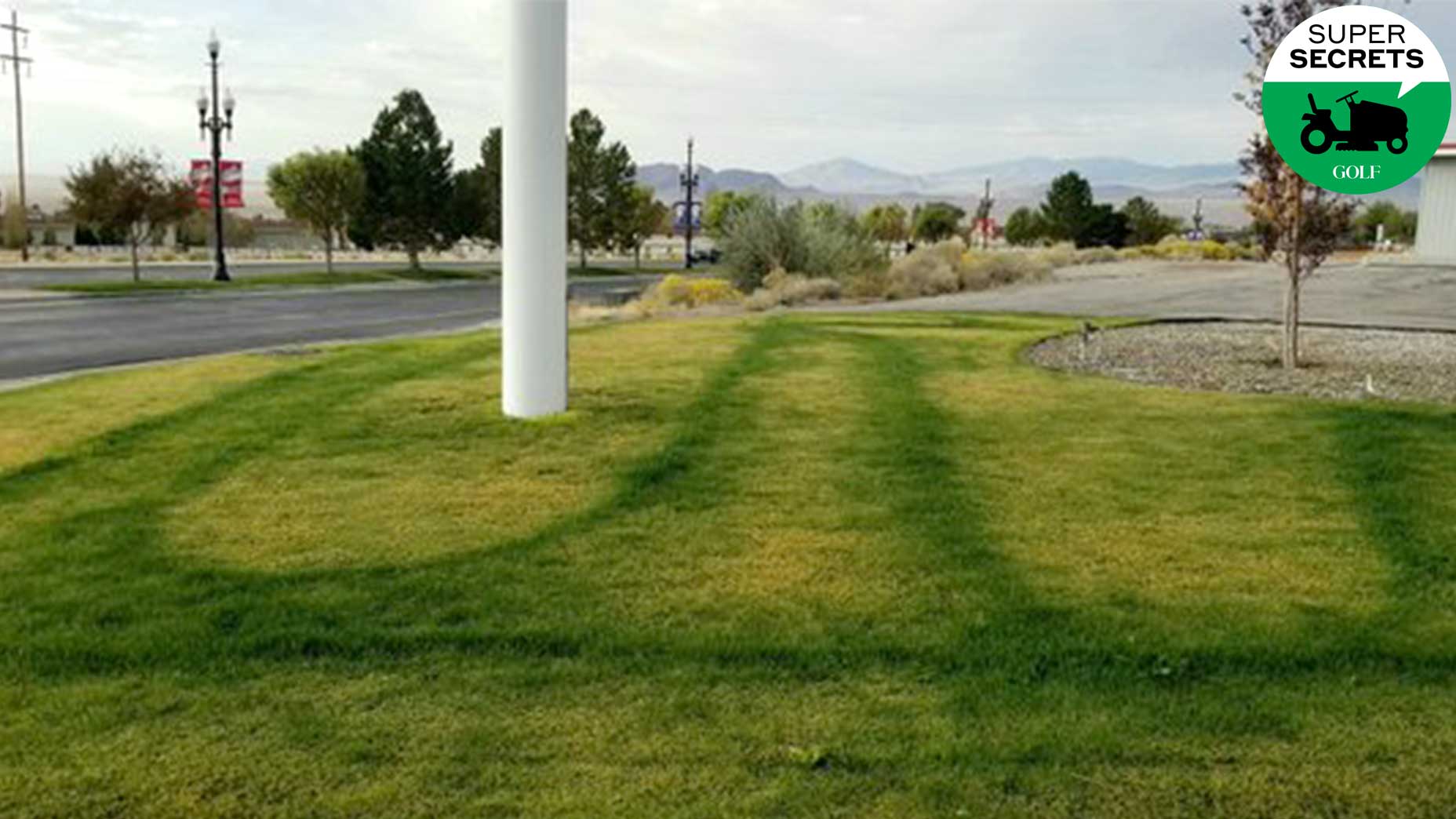 Image of Lawn that has been fertilized with double dark fertilizer