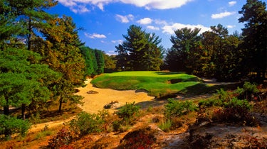 Pine valley in new jersey