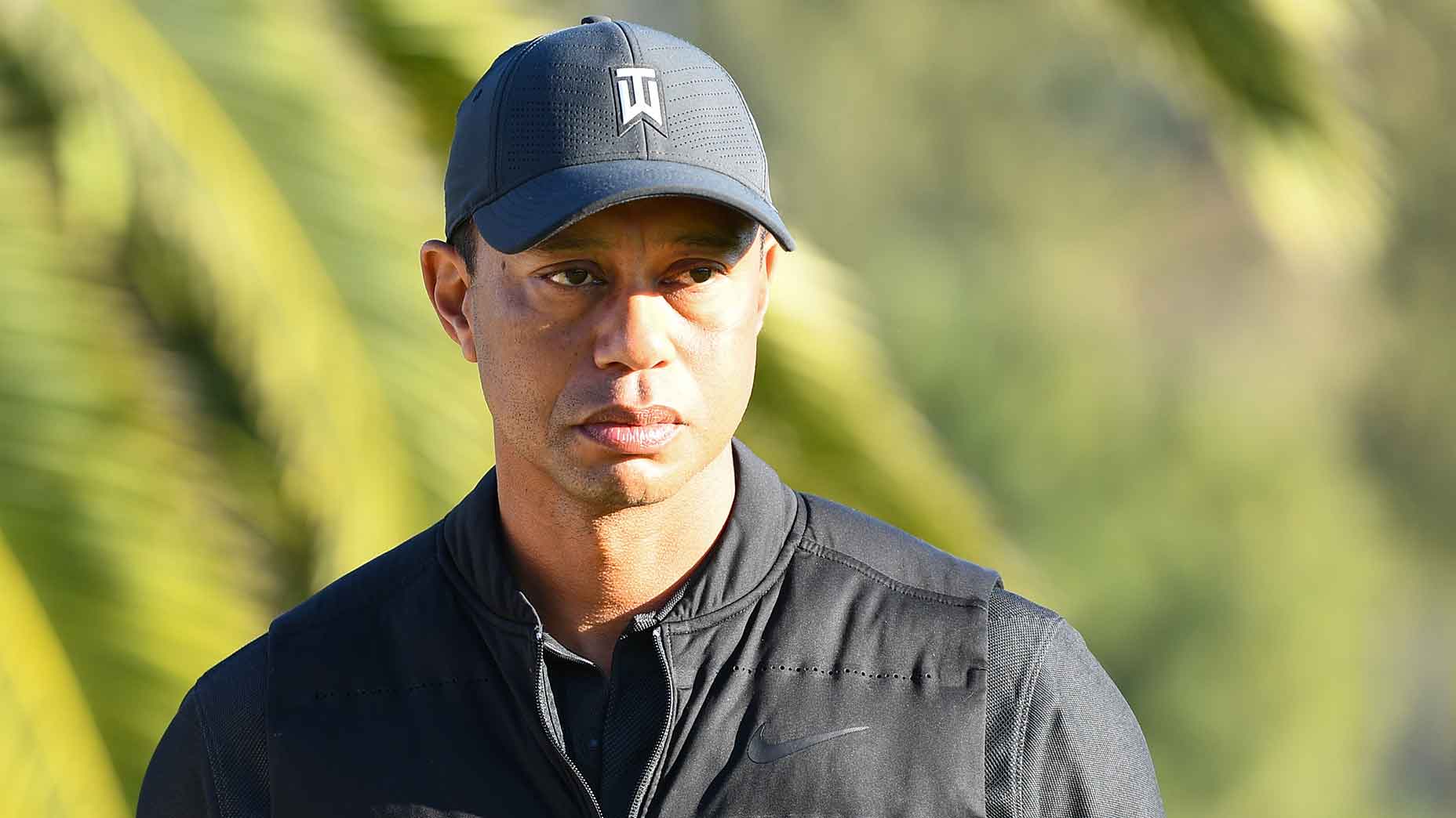 tiger injury recovery