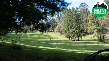 The opening hall of Tilden Park.