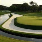 A scenic view of the 11th hole of the Stadium Course at TPC Sawgrass.