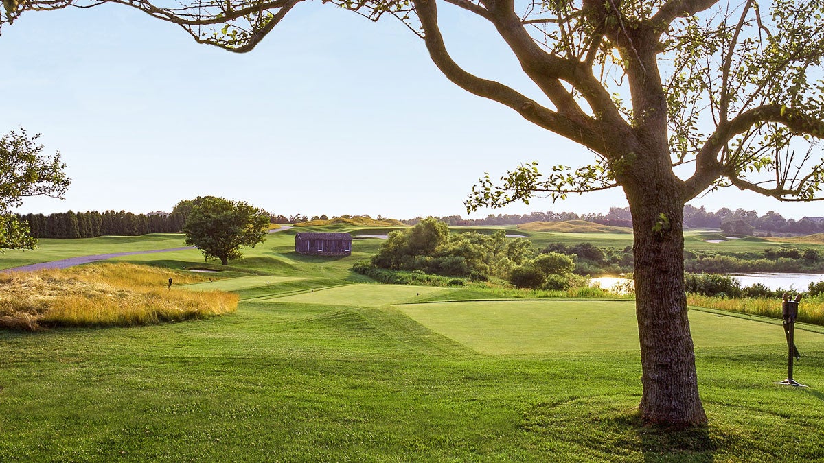 This cleverly designed backyard golf course will fill you with awe and envy