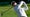 Joaquin Niemann hits shot during Round 2 of the 2022 Genies Invitational