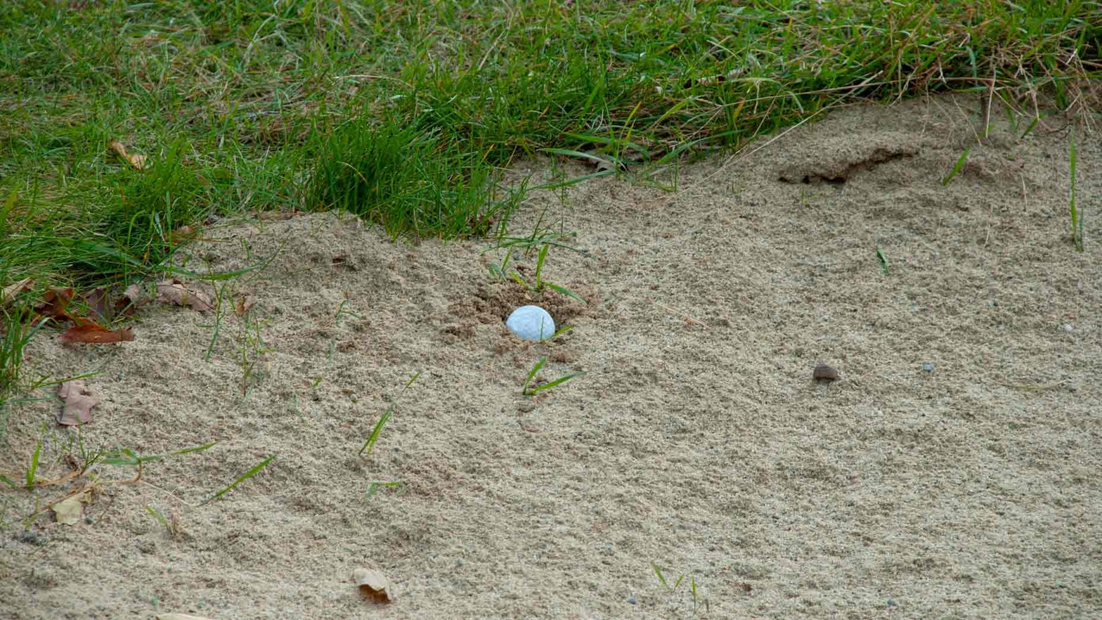 What do you do if sand covers your ball as you address it in the bunker?