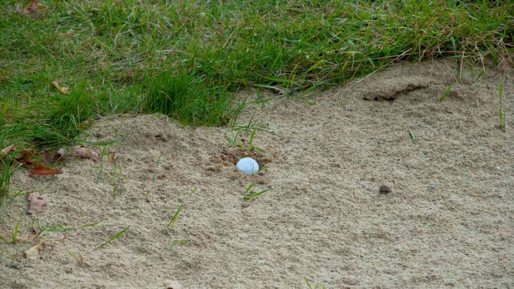 golf ball in fried egg lie