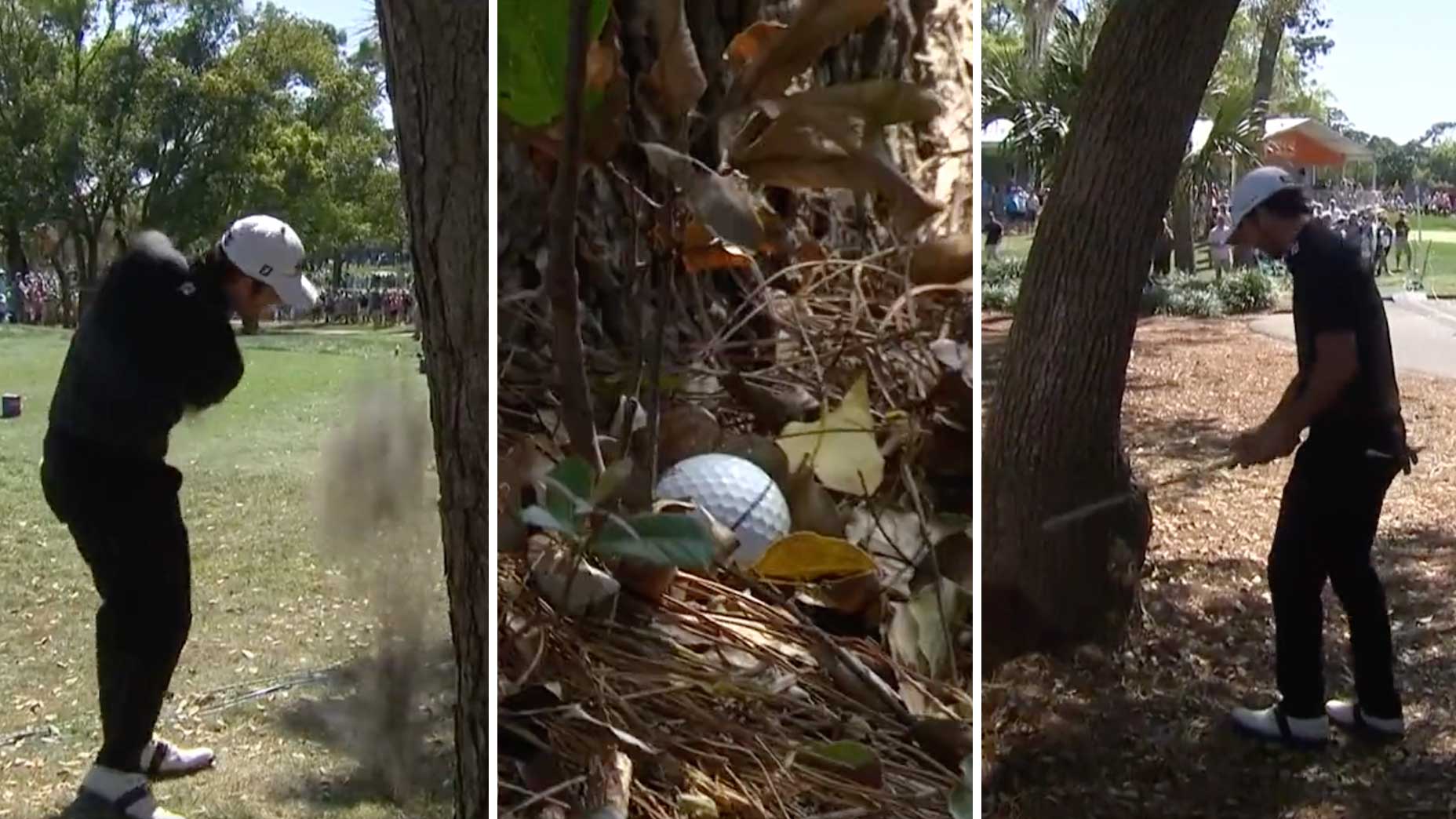 Davis Riley made an 8 at No. 5 on Sunday at the Valspar.