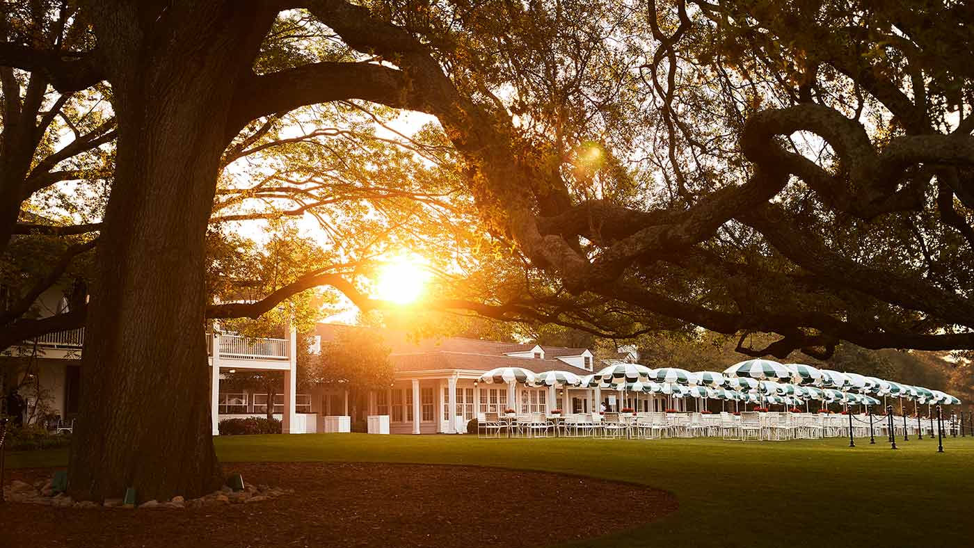 augusta national tree