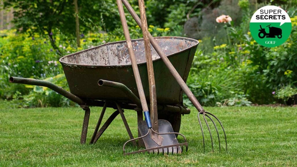 wheelbarrow in yard