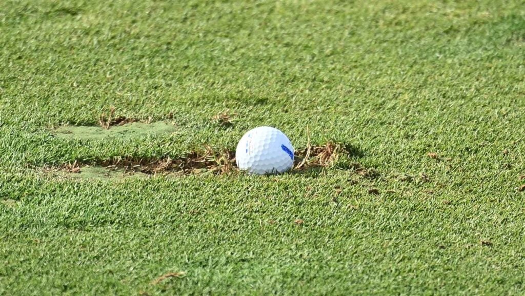 Golf ball in divot