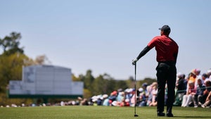 tiger woods leans on club