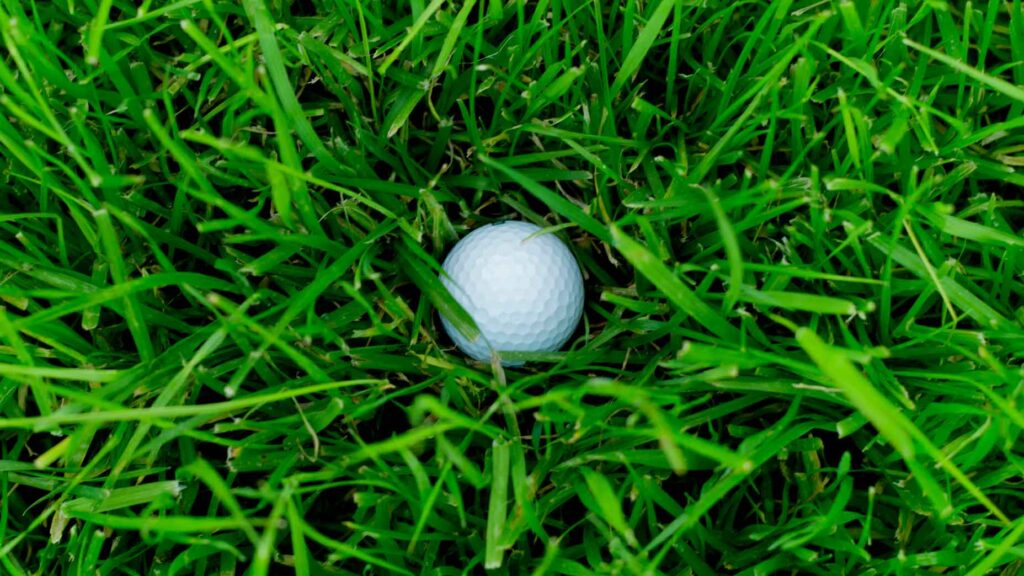 ball in grass